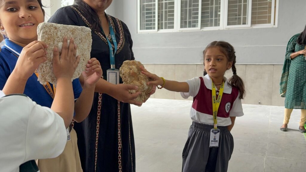 International Tiger Day activities